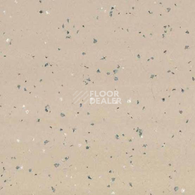 Линолеум Gerflor Taralay Premium Indiana 4343 Tokelau фото 1 | FLOORDEALER